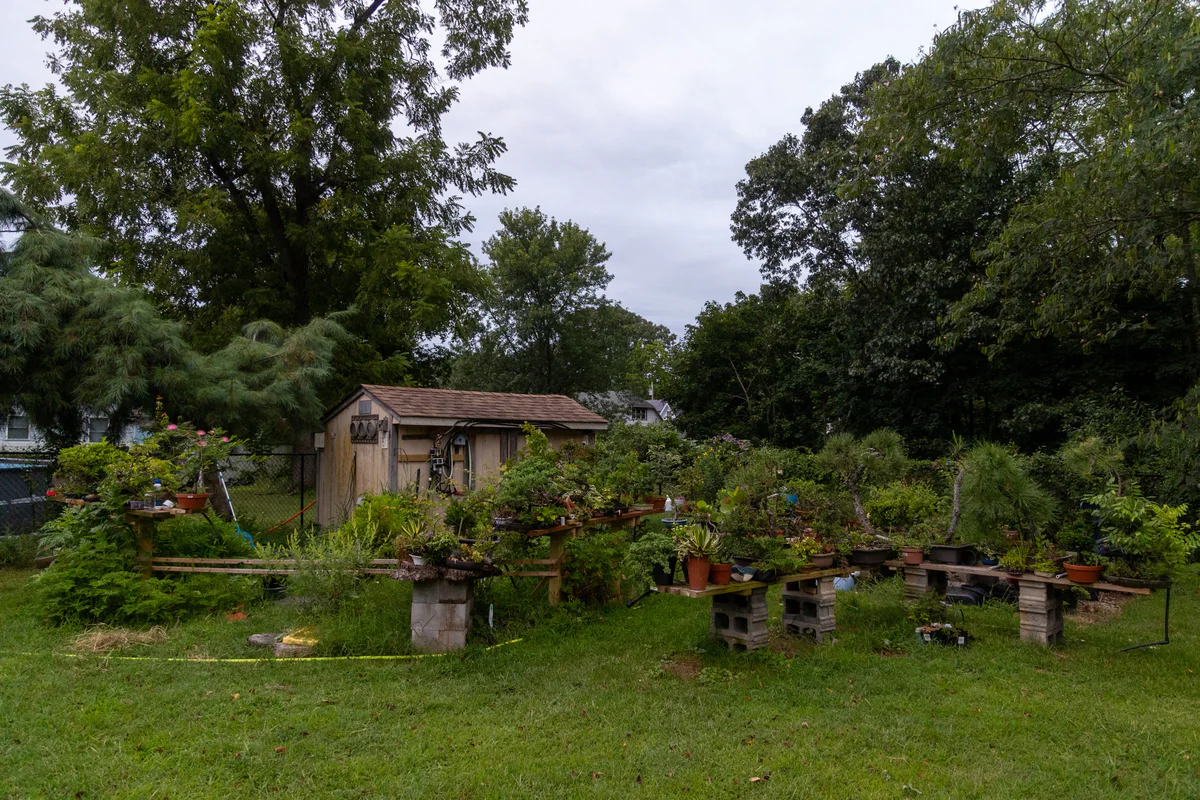 The benches, August 2025